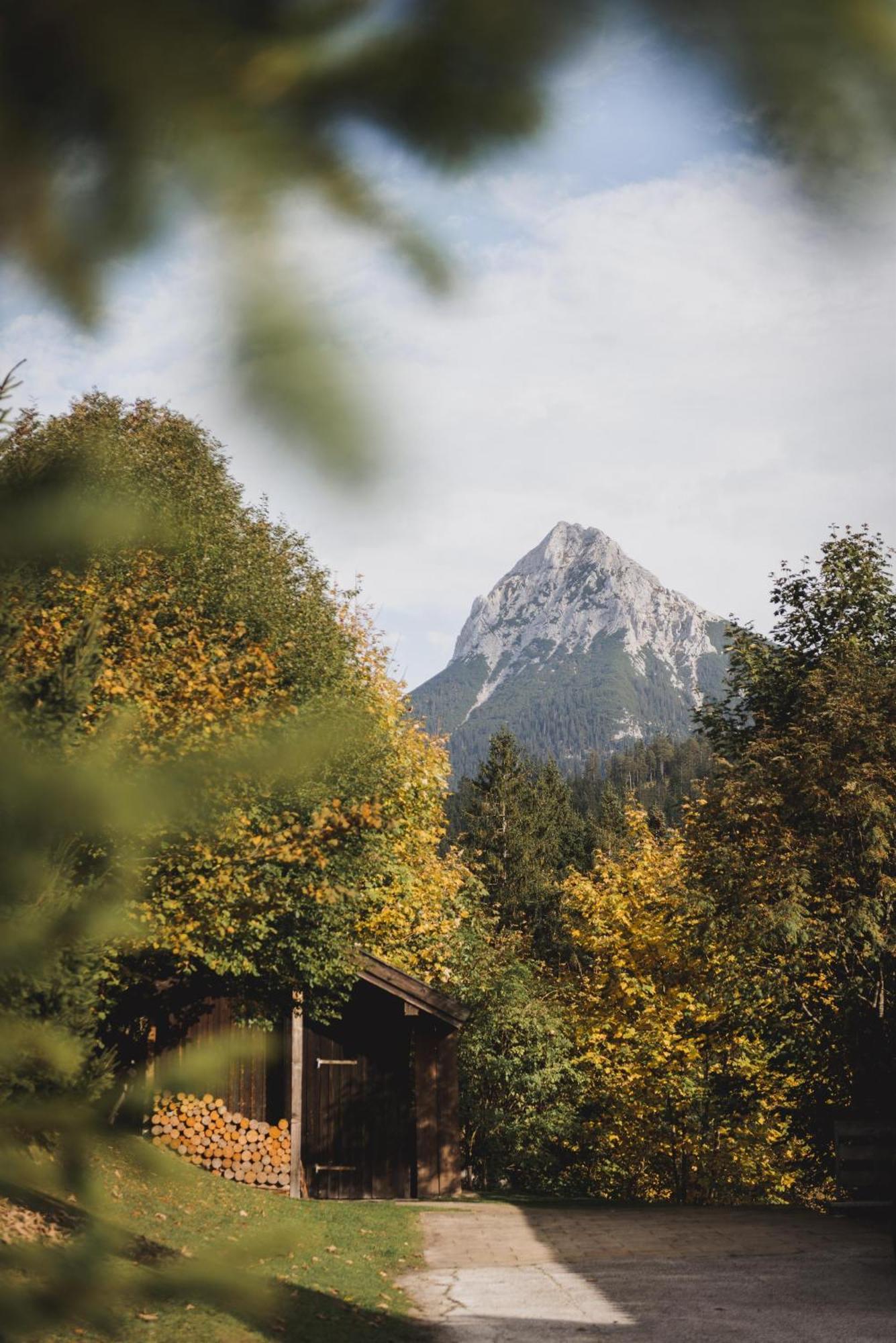 Ferienwohnung Waldgarten Leiten Exterior foto